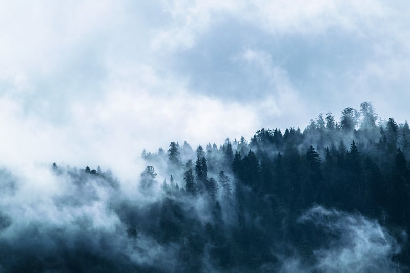 Ethereal Entities
